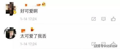 微信吃瓜免费视频,带你领略娱乐新风尚